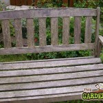 Bench with weather damage