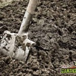 Spade in Soil