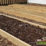 Raised beds with different soils