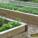 raised bed with netting