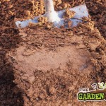 Clay Soils