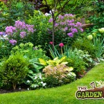 Garden Plants