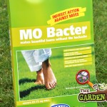 Mo Bacter
