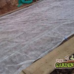 Frost fleece on vegetable plot