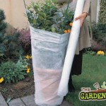 Frost protection for tender shrubs