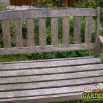 Bench with weather damage