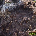 Fresh Farm Yard Manure