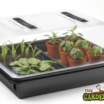 Propagator