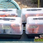 Propagator with humidity