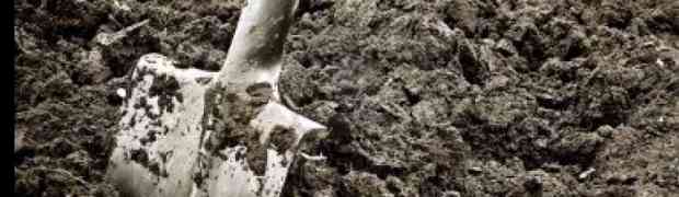 Choosing The Best Garden Spade For You