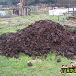 Well rotted Farm Yard Manure
