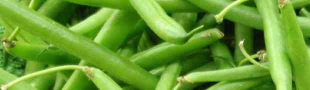 Rotate Your Beans For a Successful Vegetable Plot