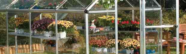 How to Best Position Your Greenhouse or Polytunnel