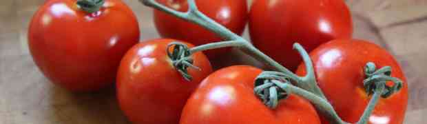 How to Grow Tomatoes From Seeds in Ireland