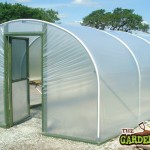 Polytunnel