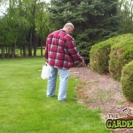 Weed Killer
