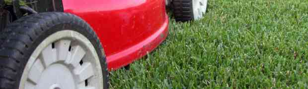 Lawn Care Starts With The First Cut Of The Year