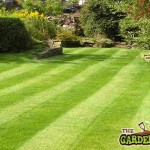 Lawn Care