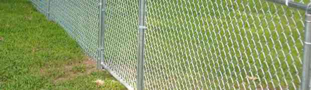 Mesh Wire Can Make Your Garden Dog Friendly