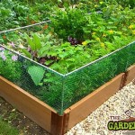 raised bed with barrier