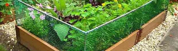 What is the Right Raised Bed for You?