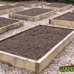 raised beds for crop rotation