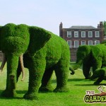 Elephant Topiary