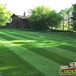 GardenLawn