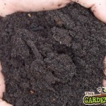 Loam Soil