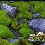 Moss on Rocks (Good Moss)