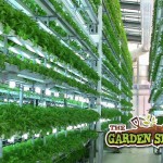 hydroponics