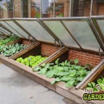 cold-frame