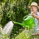 watering plants