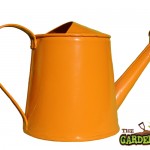 Orange watering can