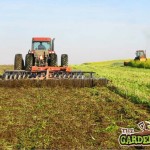 Harvesting Green Manure