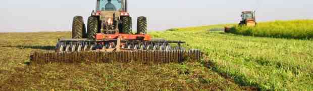 Adding Green Manure in Autumn