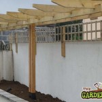 Trellis & Pergola