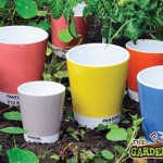 Flower Pots