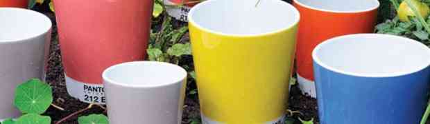 The Garden Planter & Container Gardening