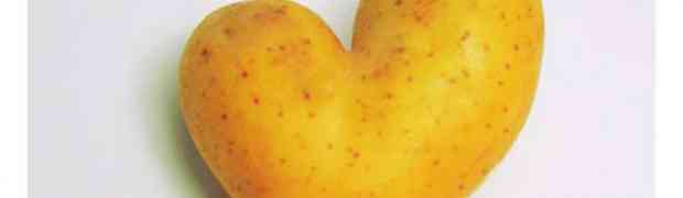 Storing Your Potatoes With The Potato Clamp