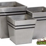 Modern Planters