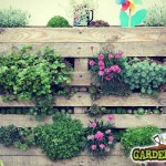 Pallet Planter