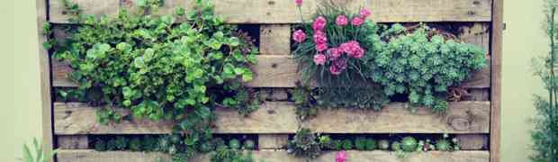 Useless Pallets & Garden Planters