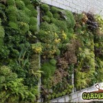 Vertical Garden