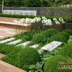 Buxus & Hostas
