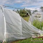 Damaged Greenhouse