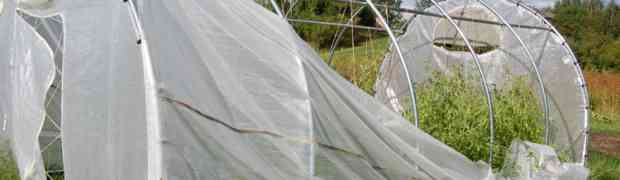 Securing Your Greenhouse