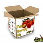 Tomato Growing Kits