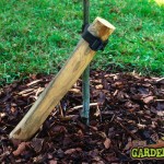 Stake & Tree