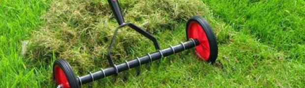 Using a Lawn Scarifier to Remove Moss